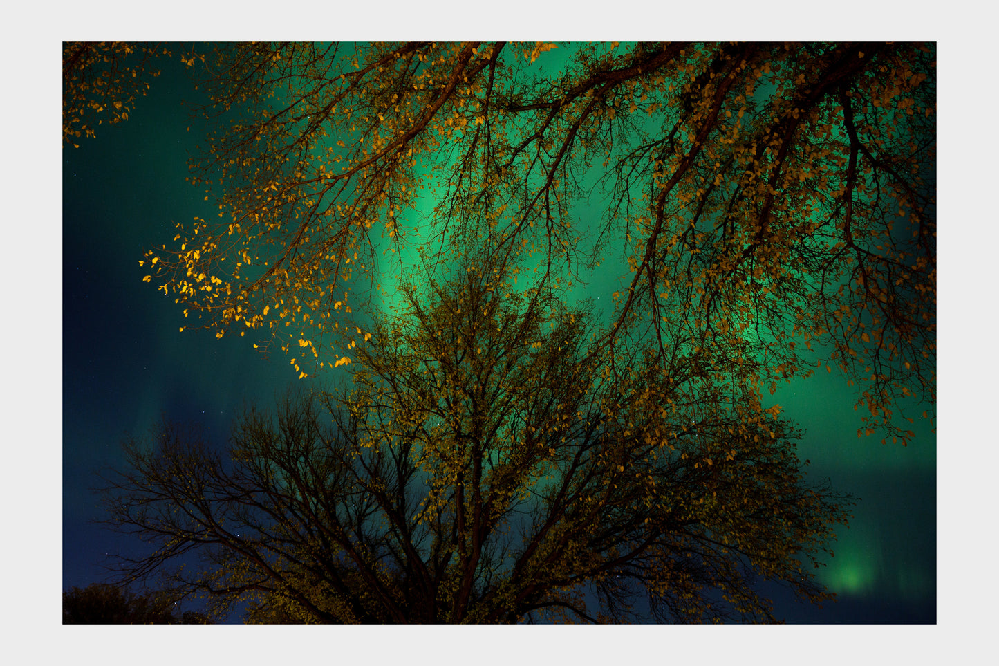 Northern Lights 2024, No. 5640