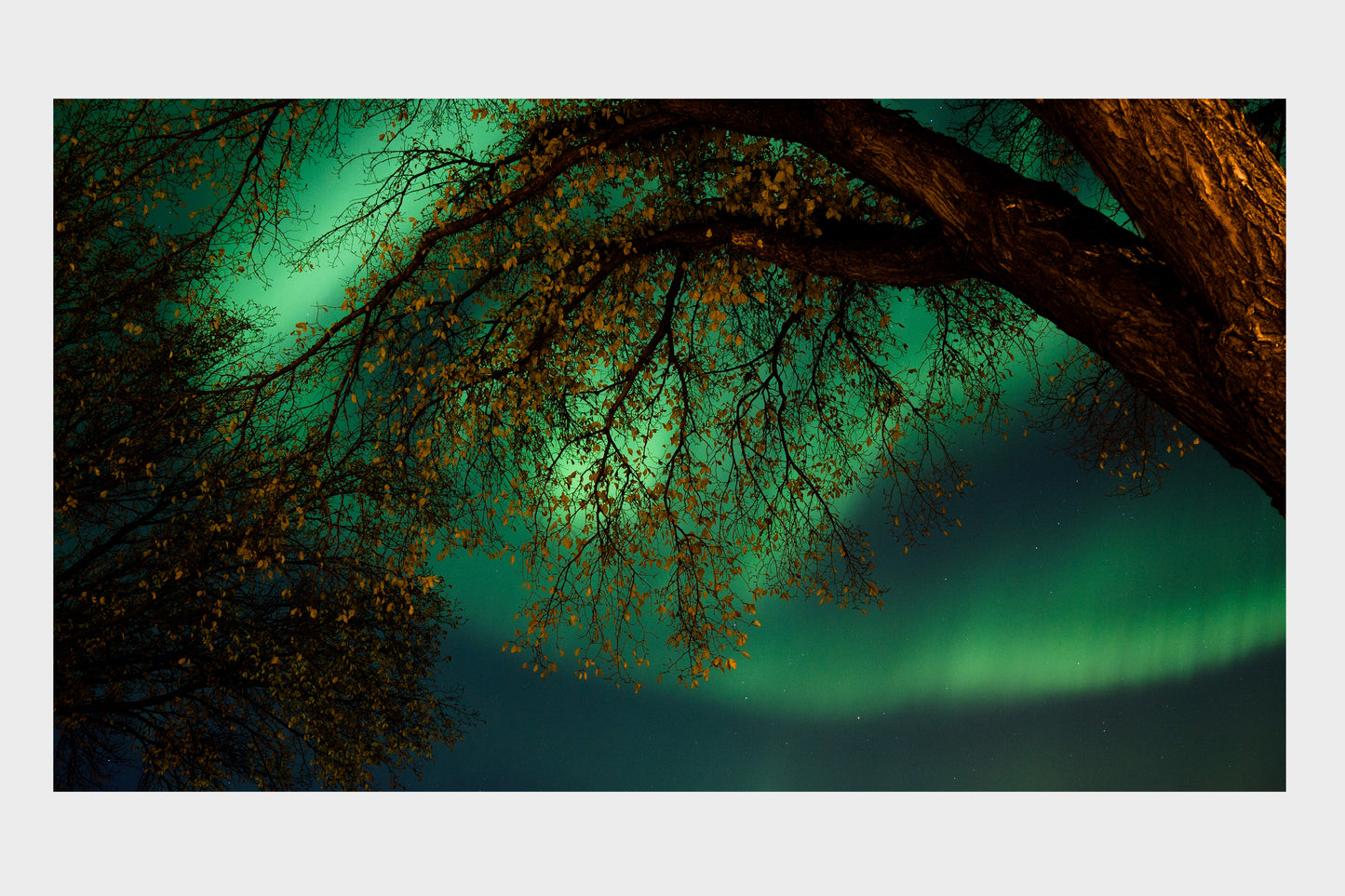 Northern Lights 2024, No. 5641