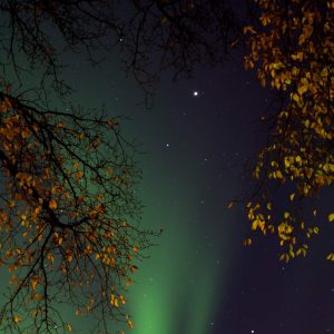 Northern Lights 2024, No. 5622
