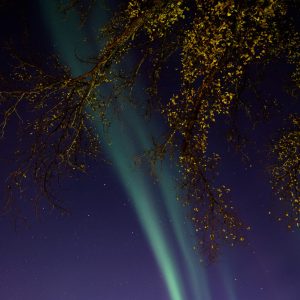 Northern Lights 2024, No. 5623