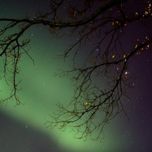 Northern Lights 2024, No. 5626