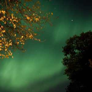 Northern Lights 2024, No. 5637