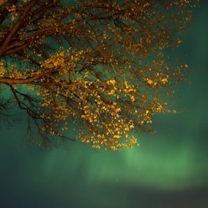 Northern Lights 2024, No. 5638