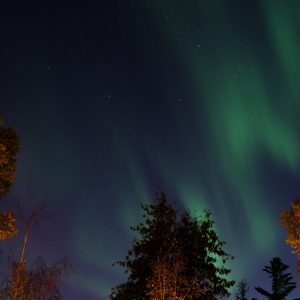 Northern Lights 2024, No. 5639
