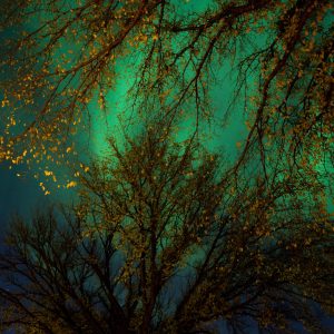 Northern Lights 2024, No. 5640