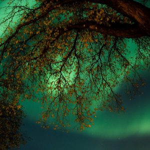 Northern Lights 2024, No. 5641