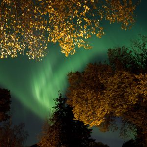 Northern Lights 2024, No. 5643