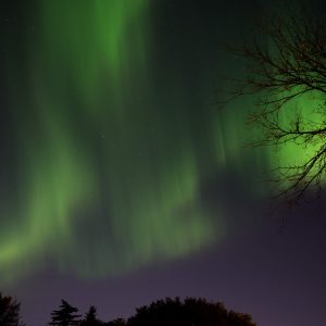 Northern Lights 2024, No. 5648